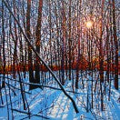 Winter Shine SPO