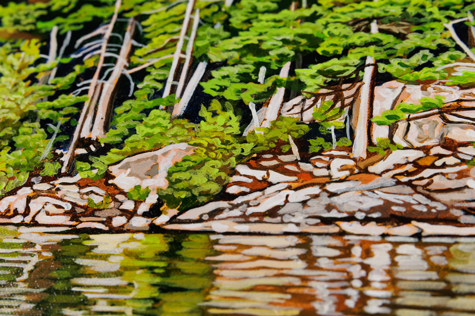 Kelly's Gem, Haliburton Forest
