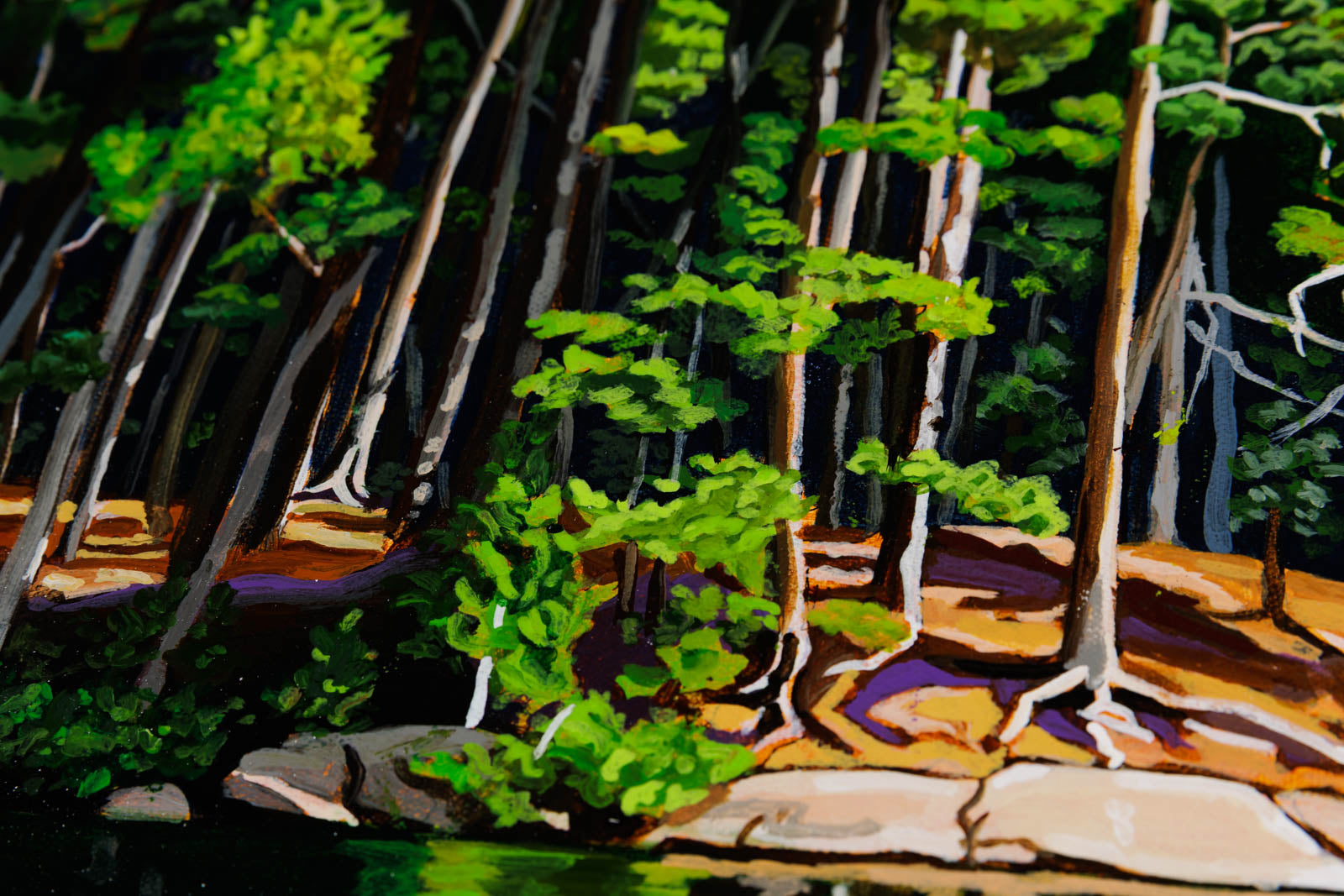 Whitefish Awaits, Algonquin Park