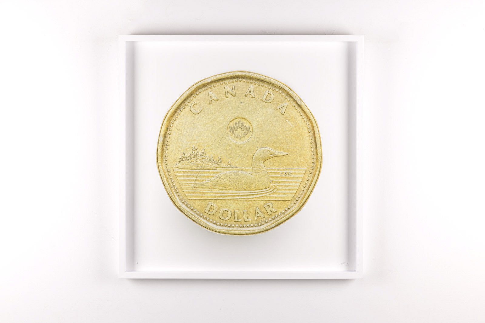 Loonie