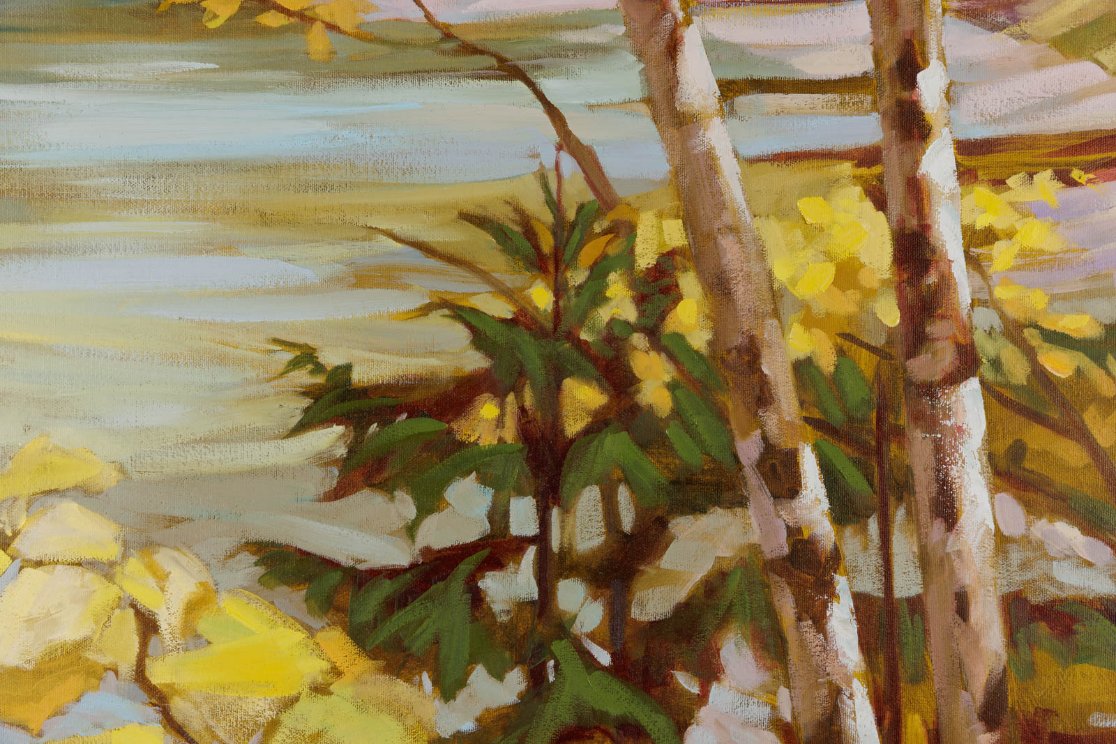 Bay Birches