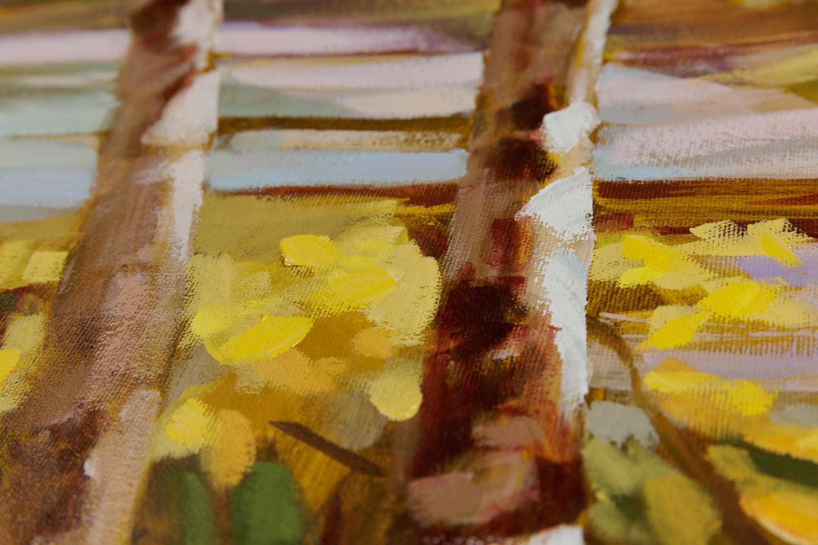 Bay Birches