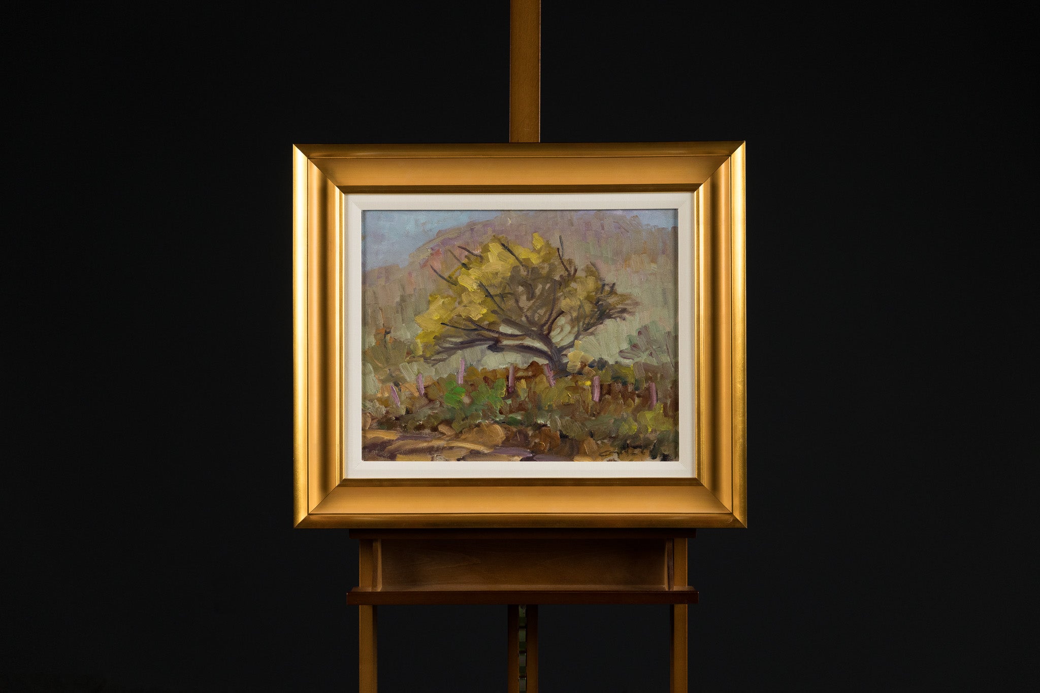 Arbre En Automne