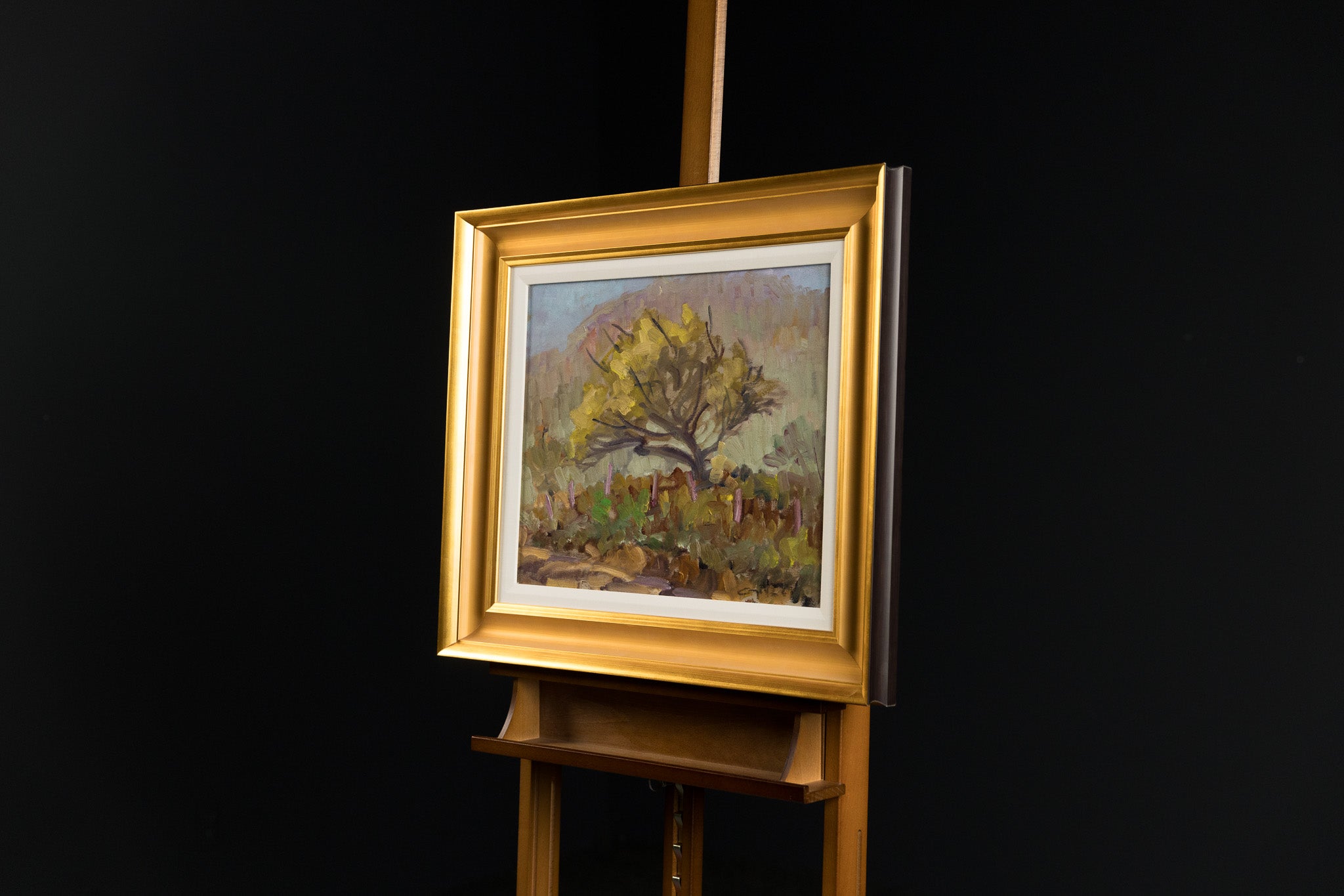 Arbre En Automne