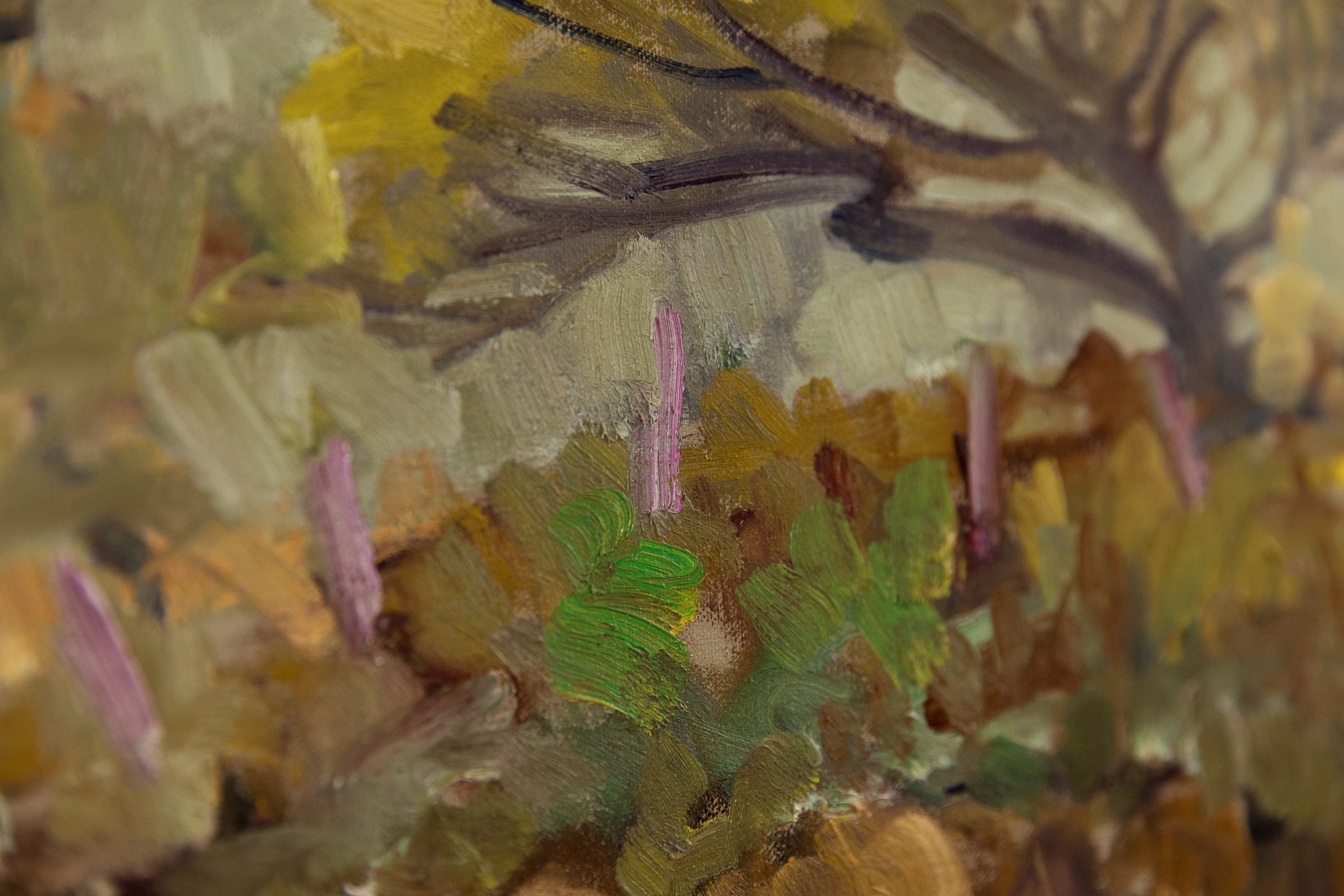 Arbre En Automne