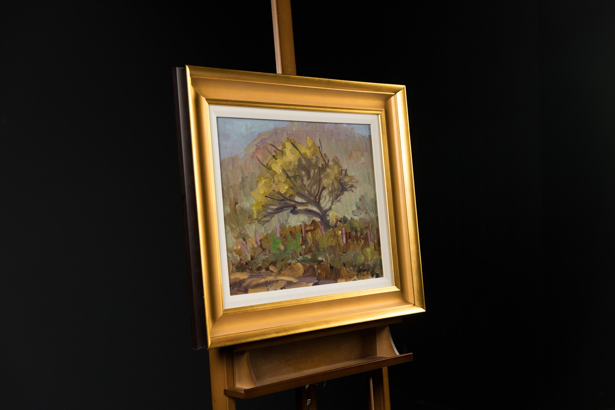 Arbre En Automne