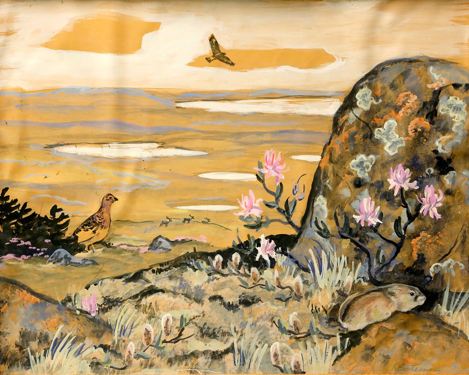 Tundra Biome Scene