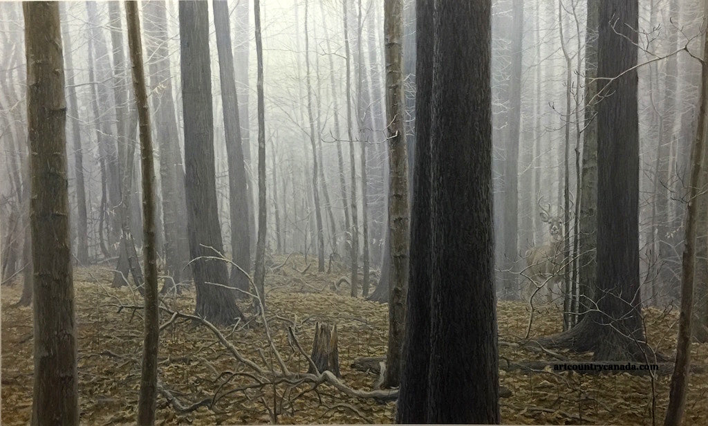 Animals “Hardwood Forest- White Tail Deer” by Robert Bateman – offset lithograph.