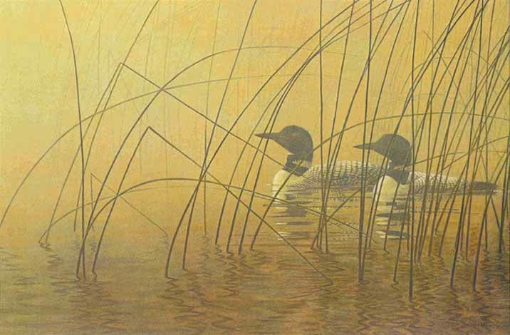 Birds “Misty Morning Loons” by Robert Bateman – offset lithograph.