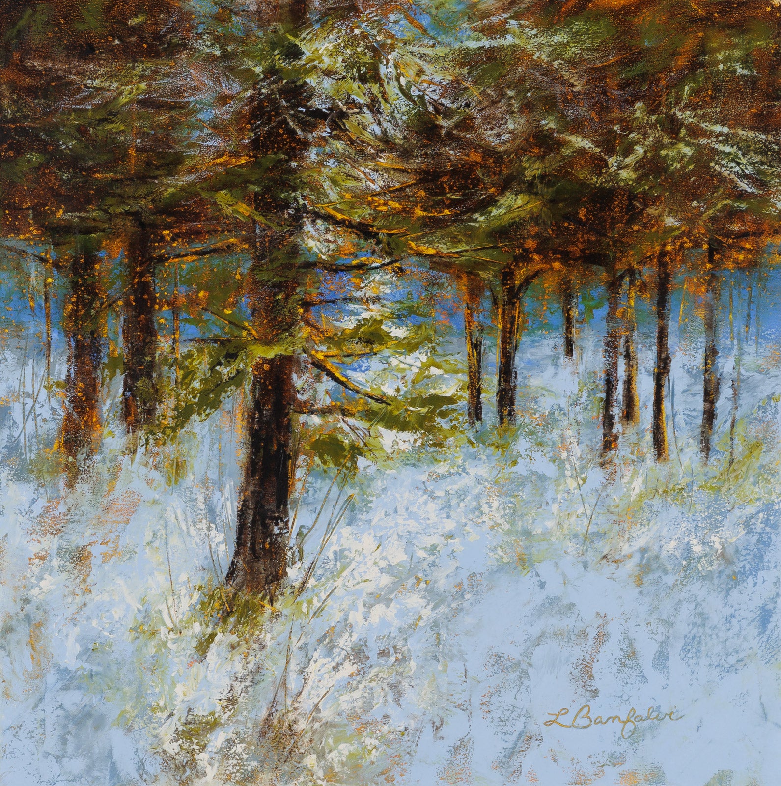 Light In The Pine Woods