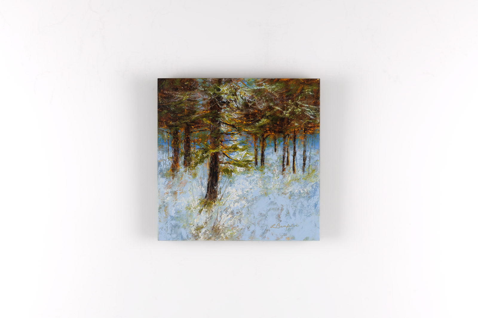 Light In The Pine Woods