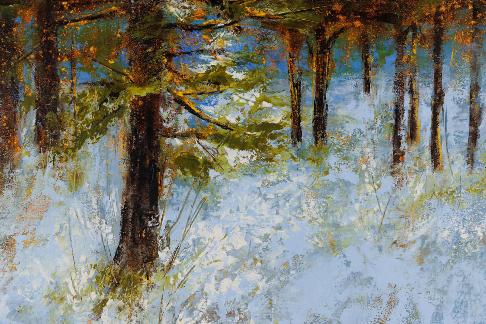 Light In The Pine Woods