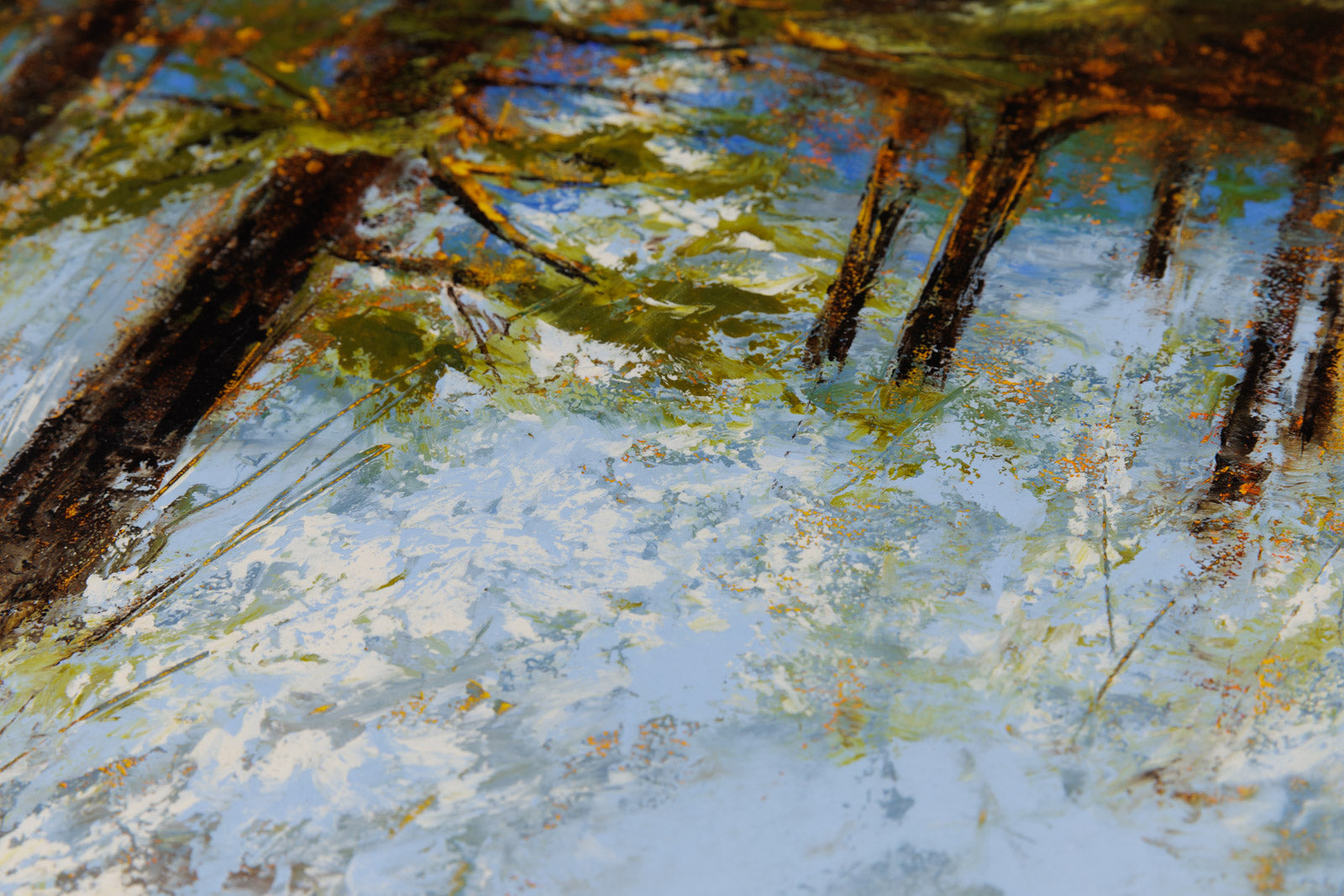 Light In The Pine Woods