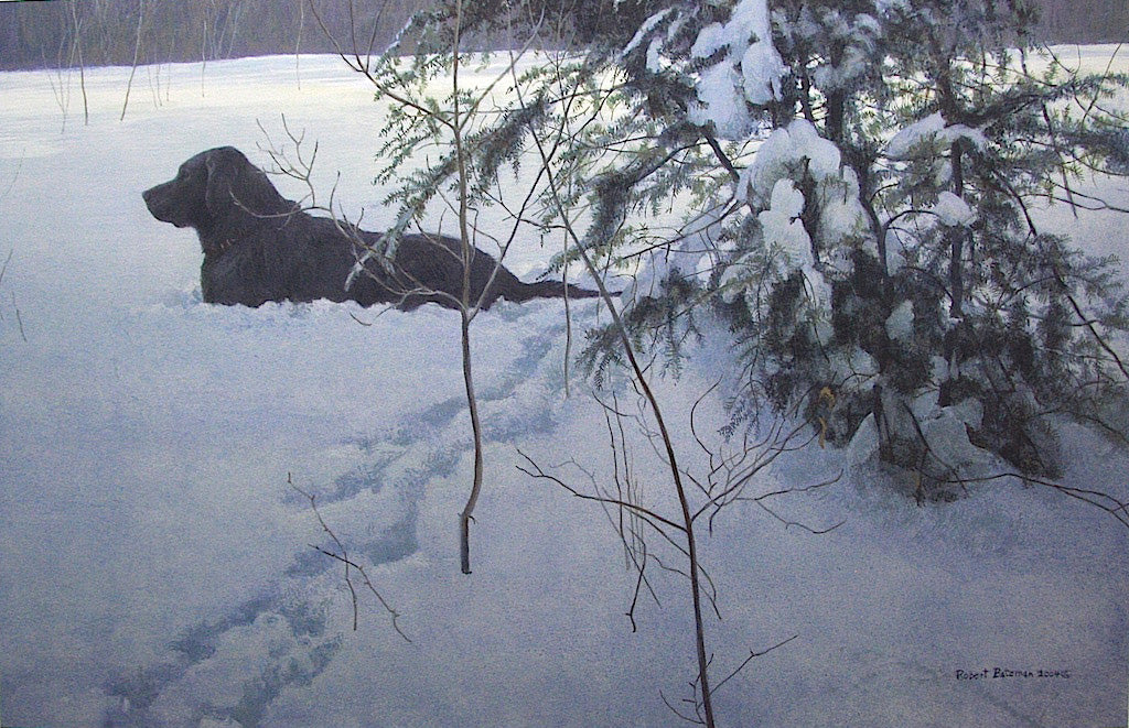 Animals “Off The Leash” by Robert Bateman – offset lithograph.