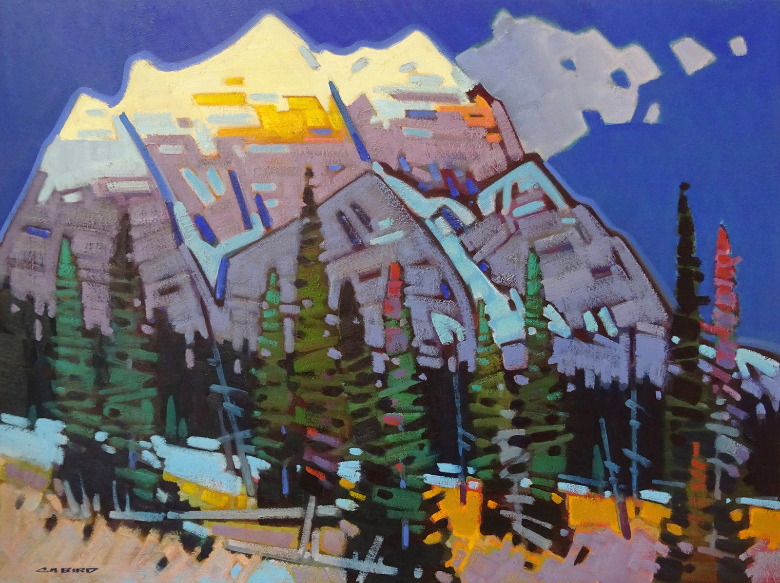 Landscape “Mt. Kerkeslin Glow” by Cameron Bird – oil on canvas.