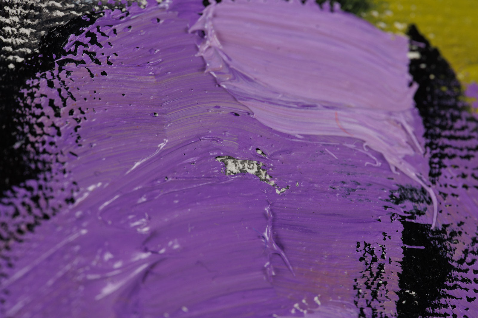 Park Series #2676