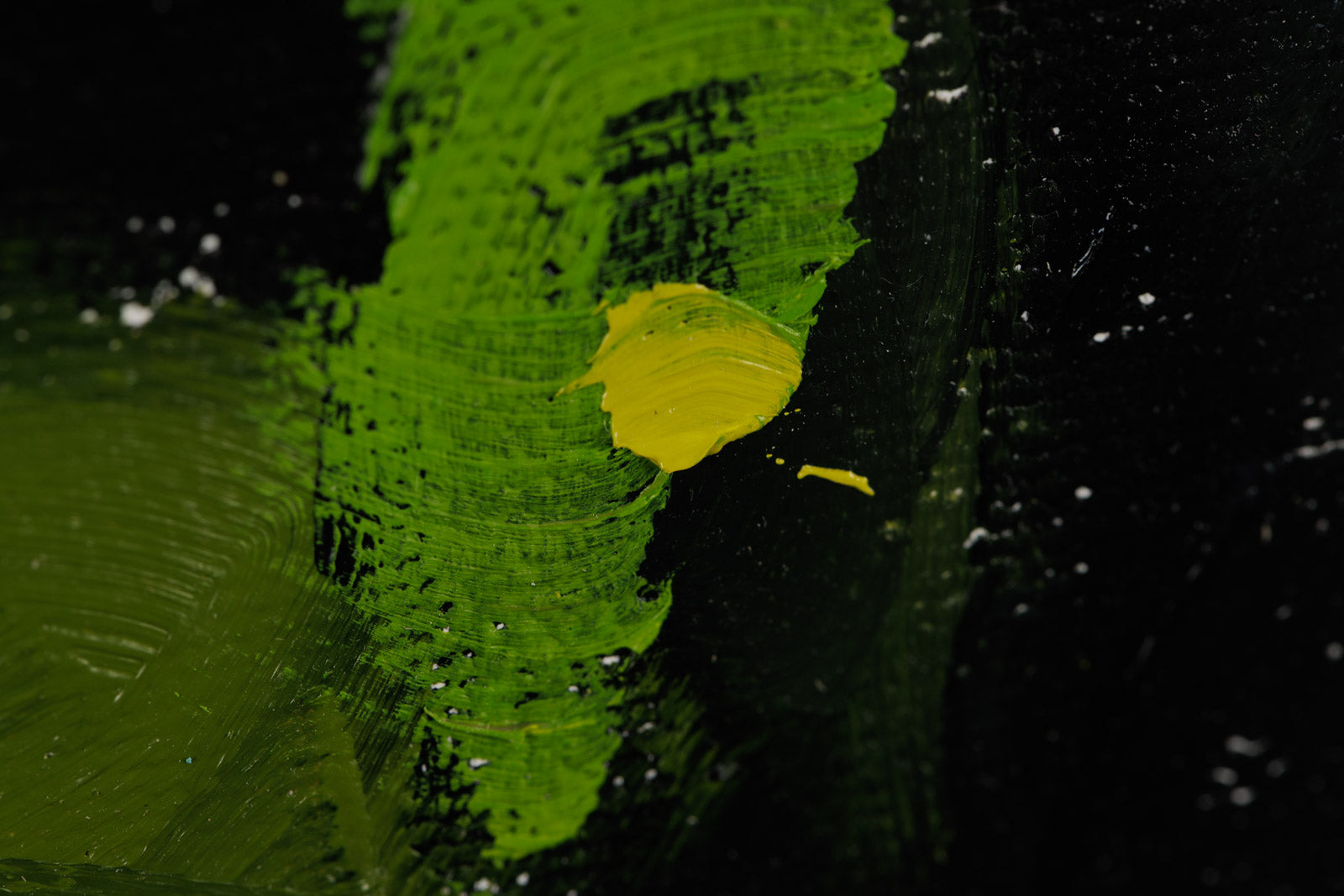 Park Series #2676