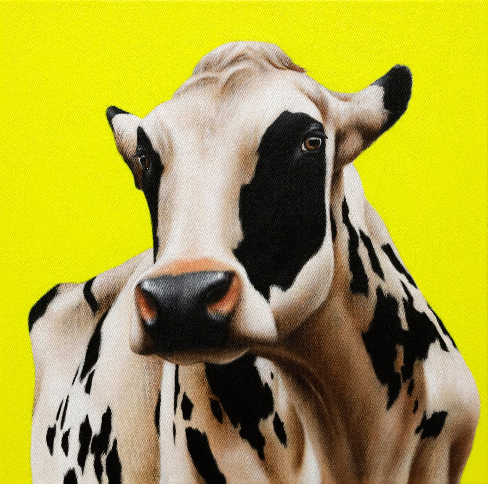 Animals “Sunshine Yellow” by Eloise Brodeur – acrylic on canvas.
