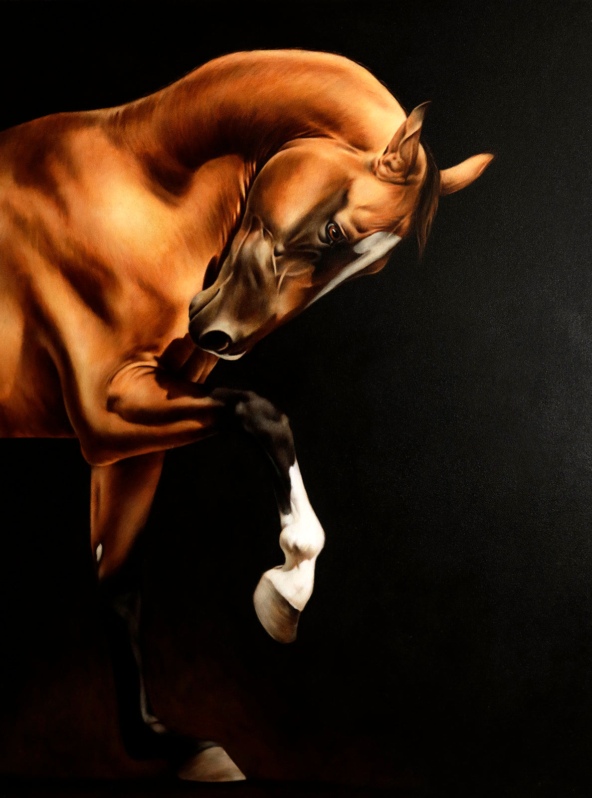Animals “Bayard” by Eloise Brodeur – oil on canvas.