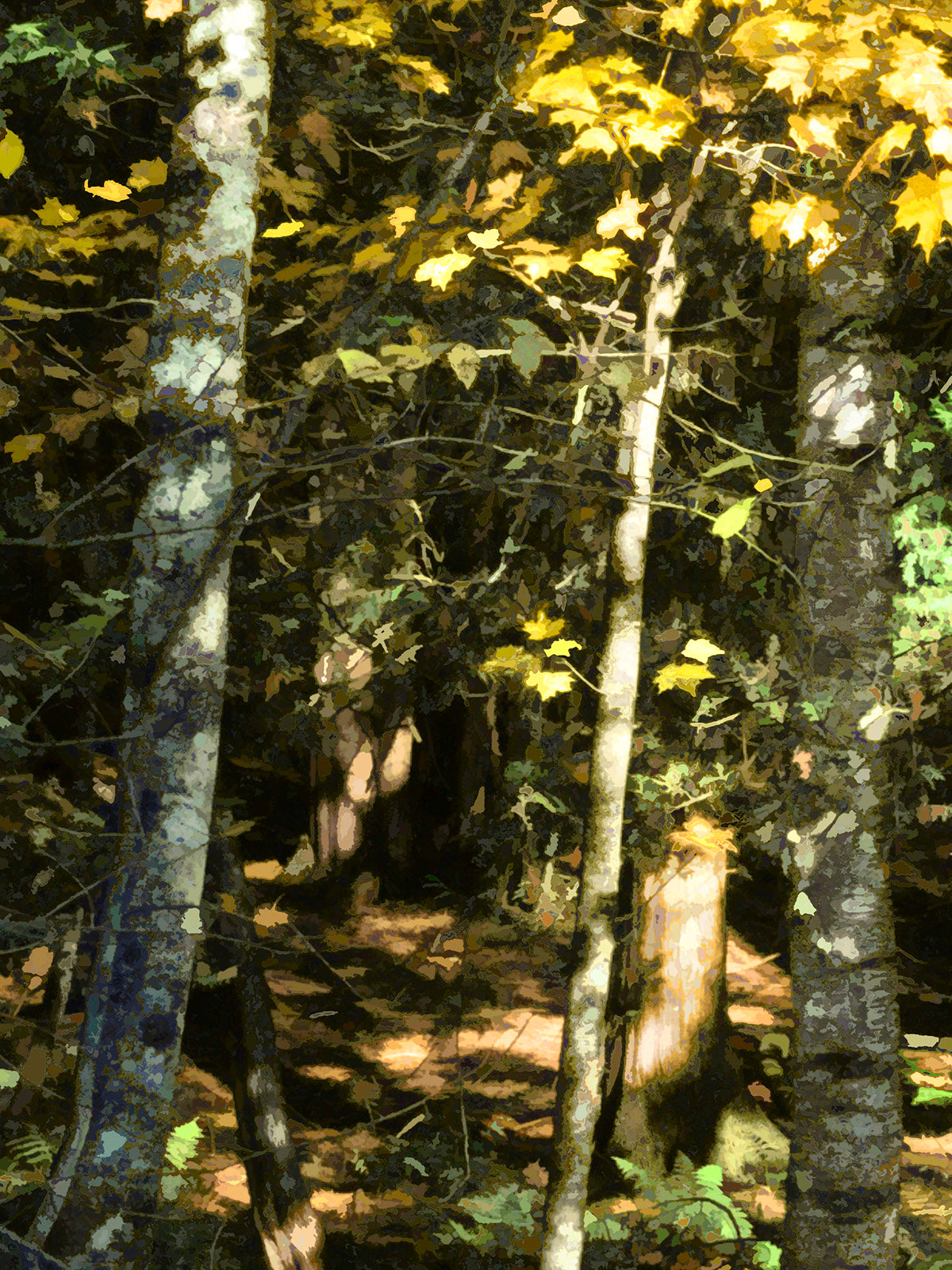 Nature “Forest Light #2, Close View” by Martin Brooks – archival ink on paper.