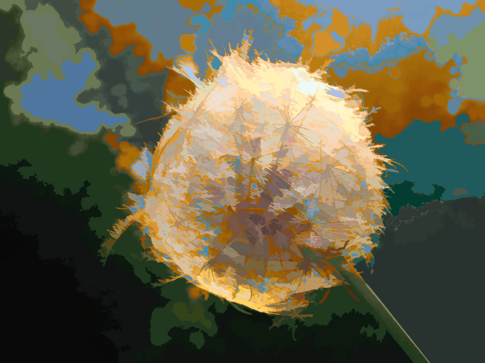 Nature “Yellow Goatsbeard #1” by Martin Brooks – digital print on paper.