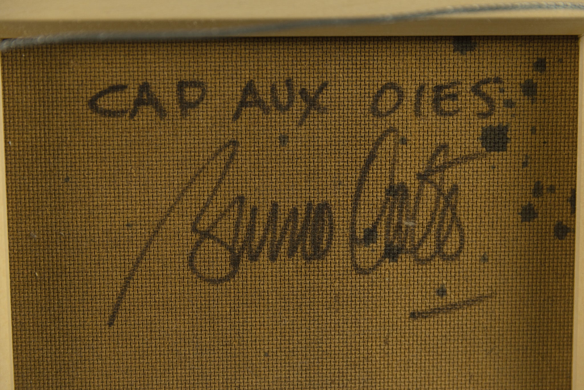 Cap Aux Oies