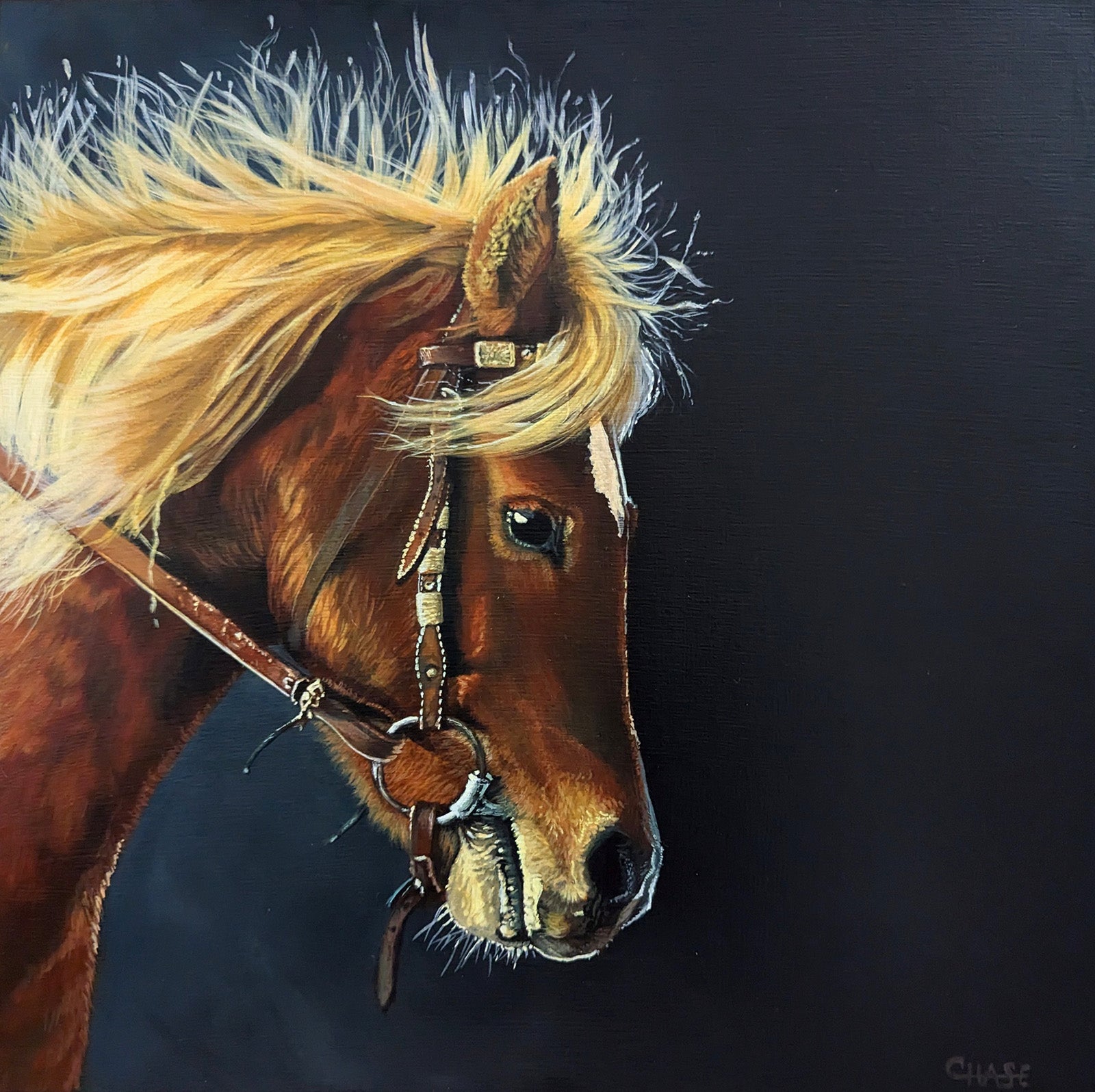 Animals “Racing The Light” by Kim Chase – acrylic on panel.