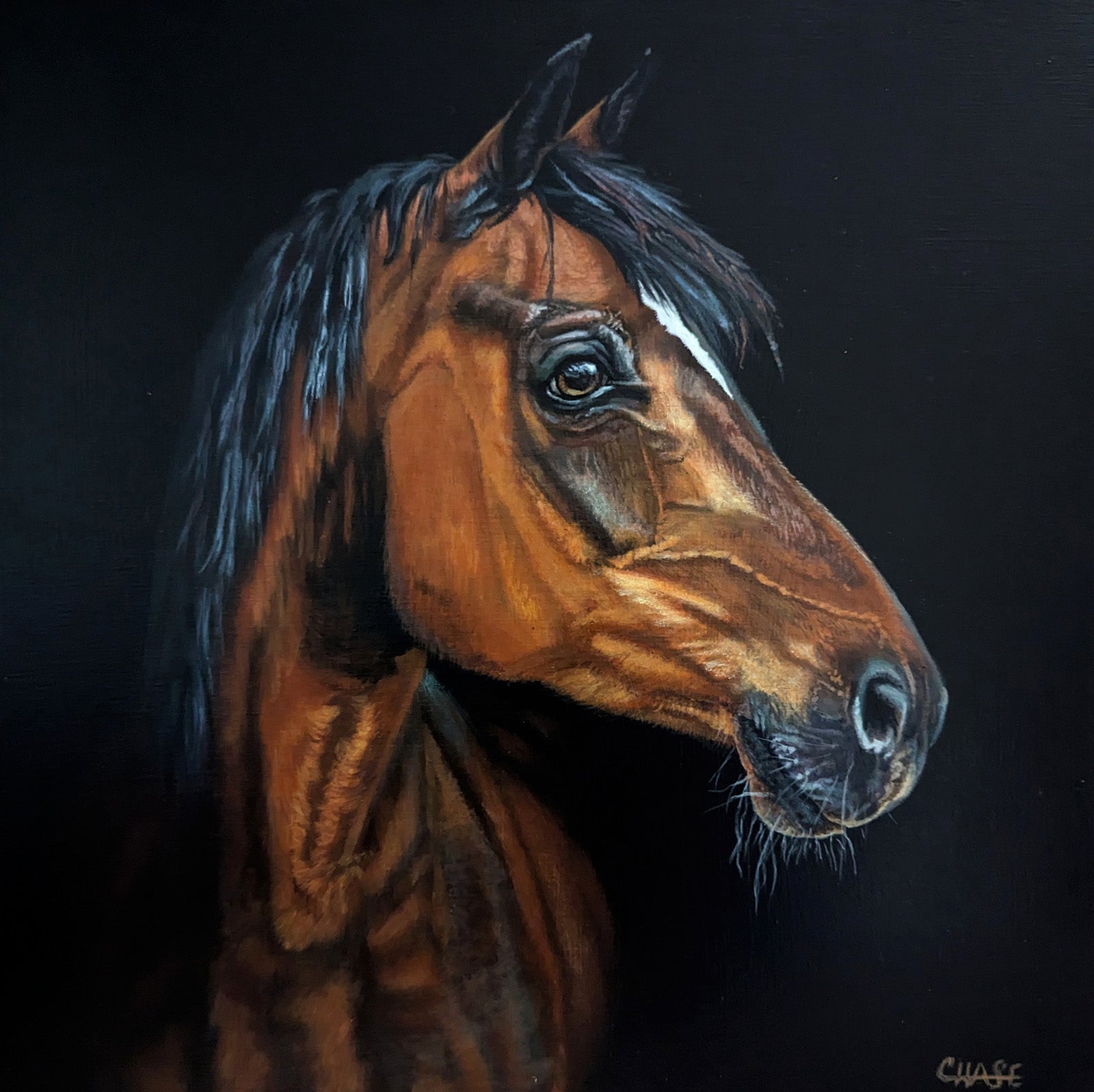 Animals “Grace & Nobility” by Kim Chase – acrylic on panel.
