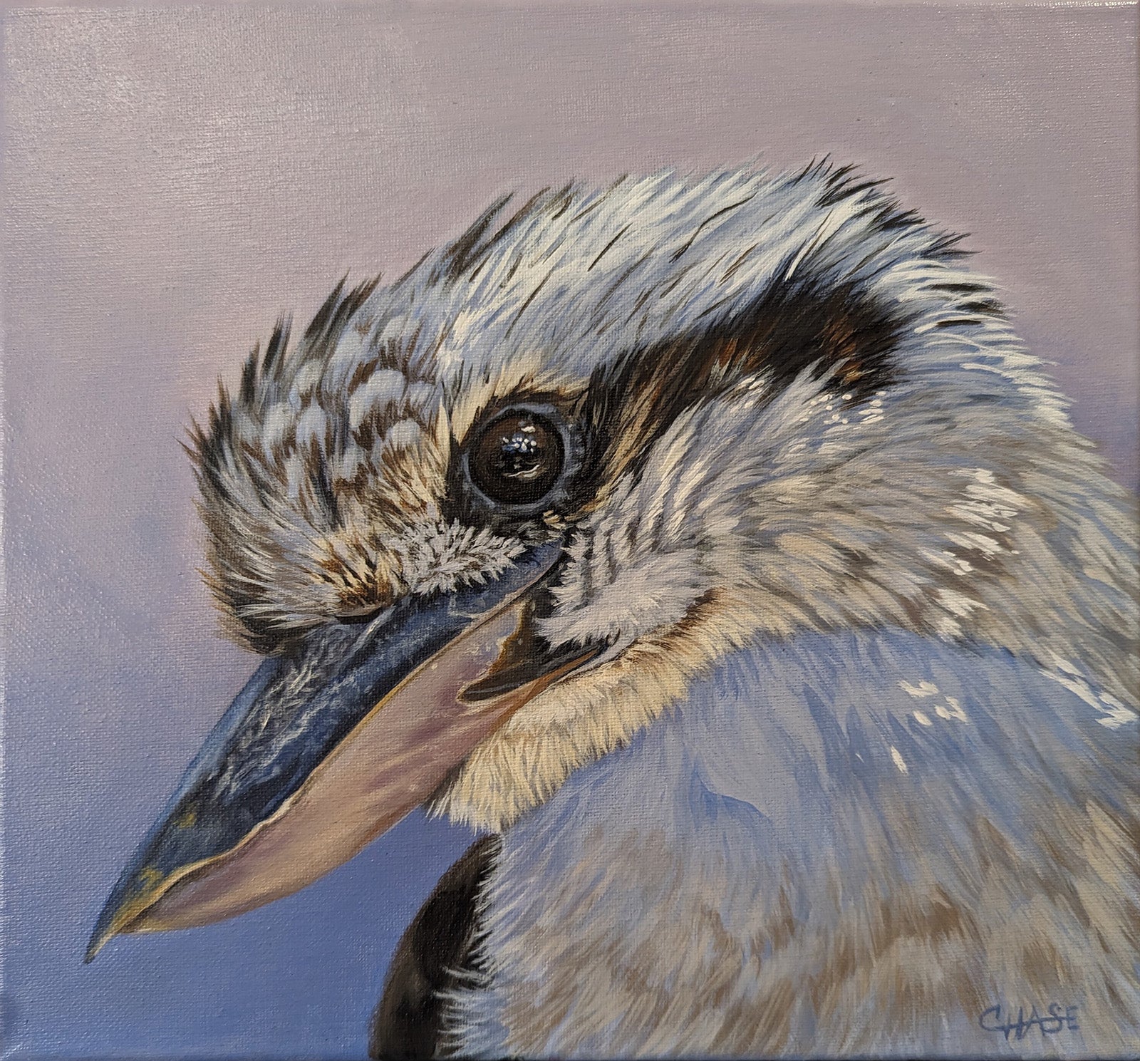 Birds “Kookaburra” by Kim Chase – acrylic on canvas.