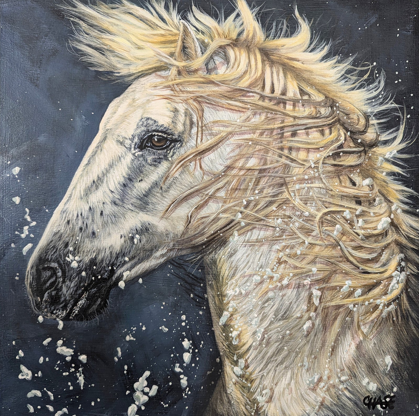 Animals “Making A Splash” by Kim Chase – acrylic on canvas.