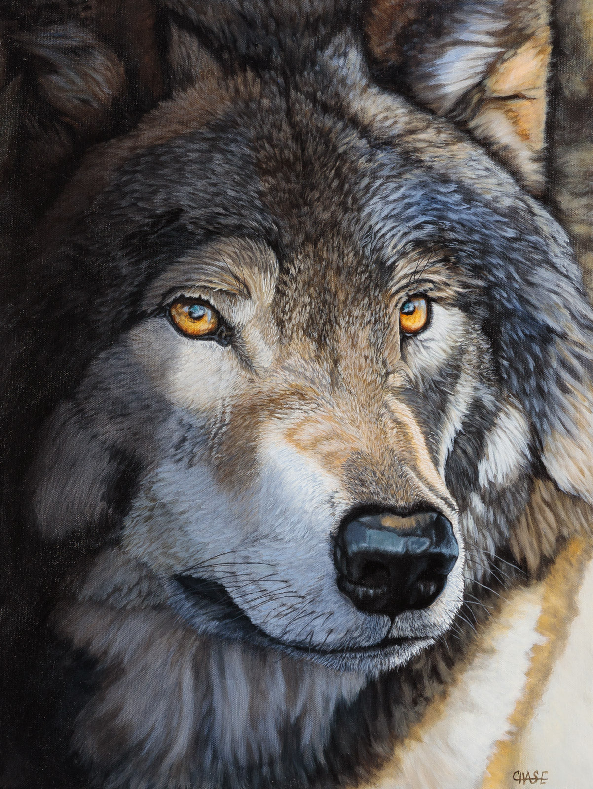 Animals “From The Shadows, Grey Wolf” by Kim Chase – acrylic on canvas.