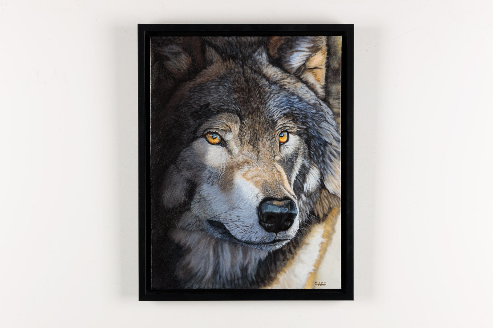 From The Shadows, Grey Wolf