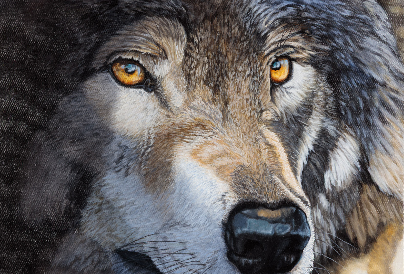 From The Shadows, Grey Wolf