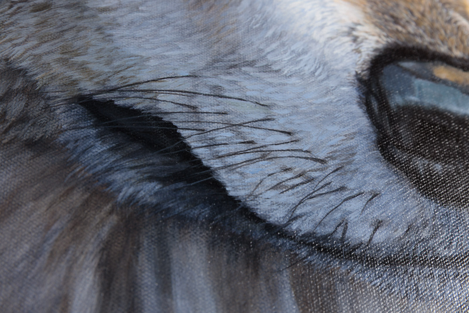 From The Shadows, Grey Wolf
