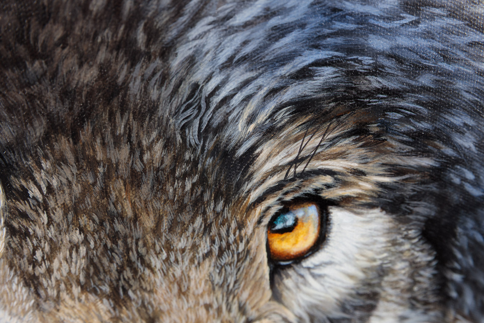 From The Shadows, Grey Wolf