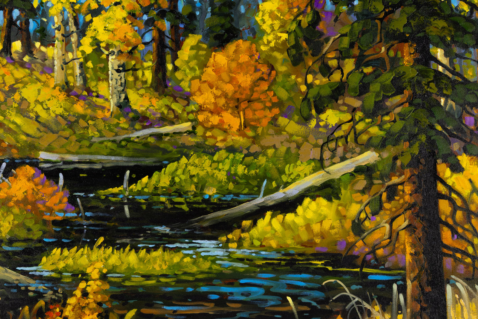 Forest Pond, Autumn