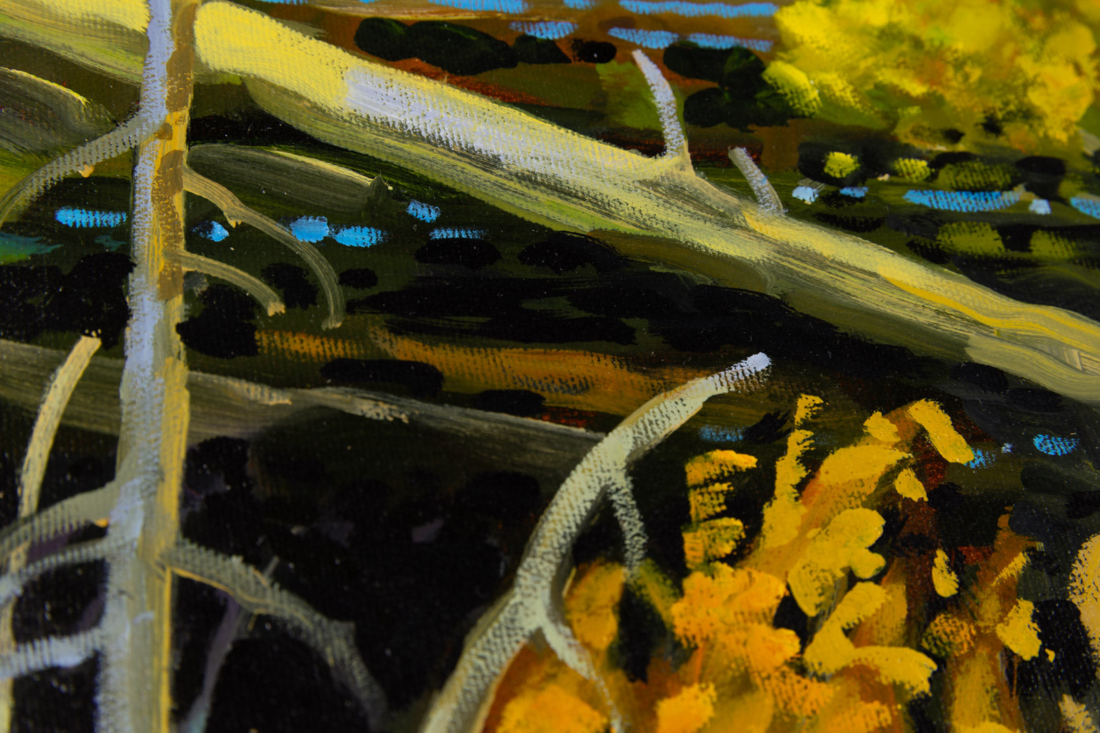 Forest Pond, Autumn