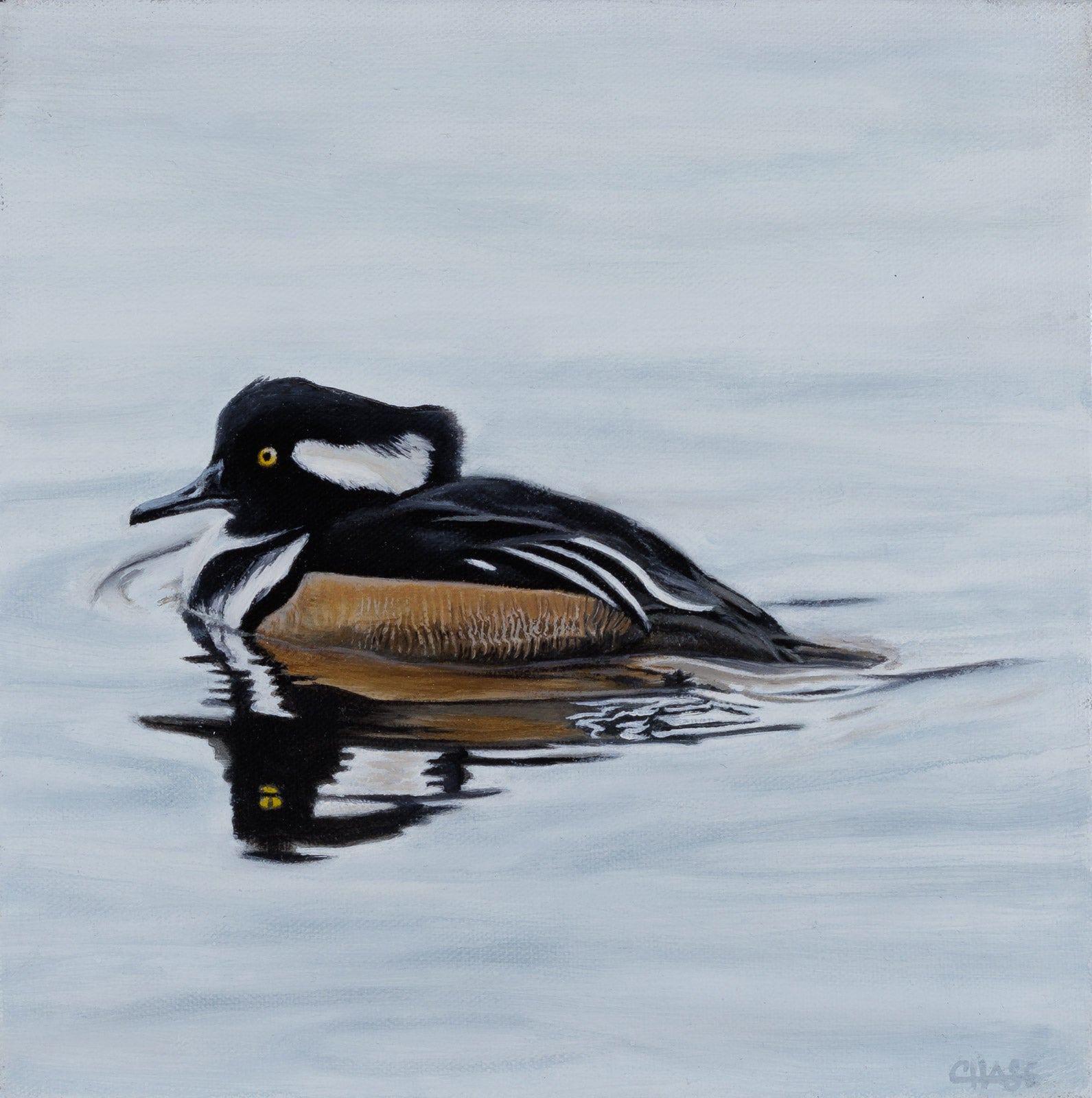 Hooded Merganser