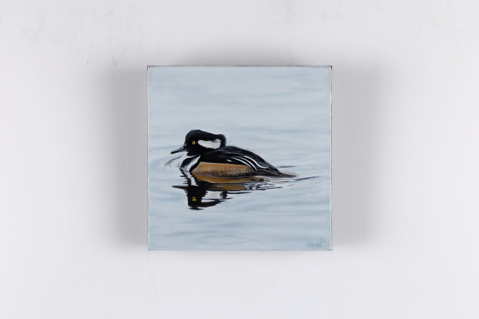 Hooded Merganser