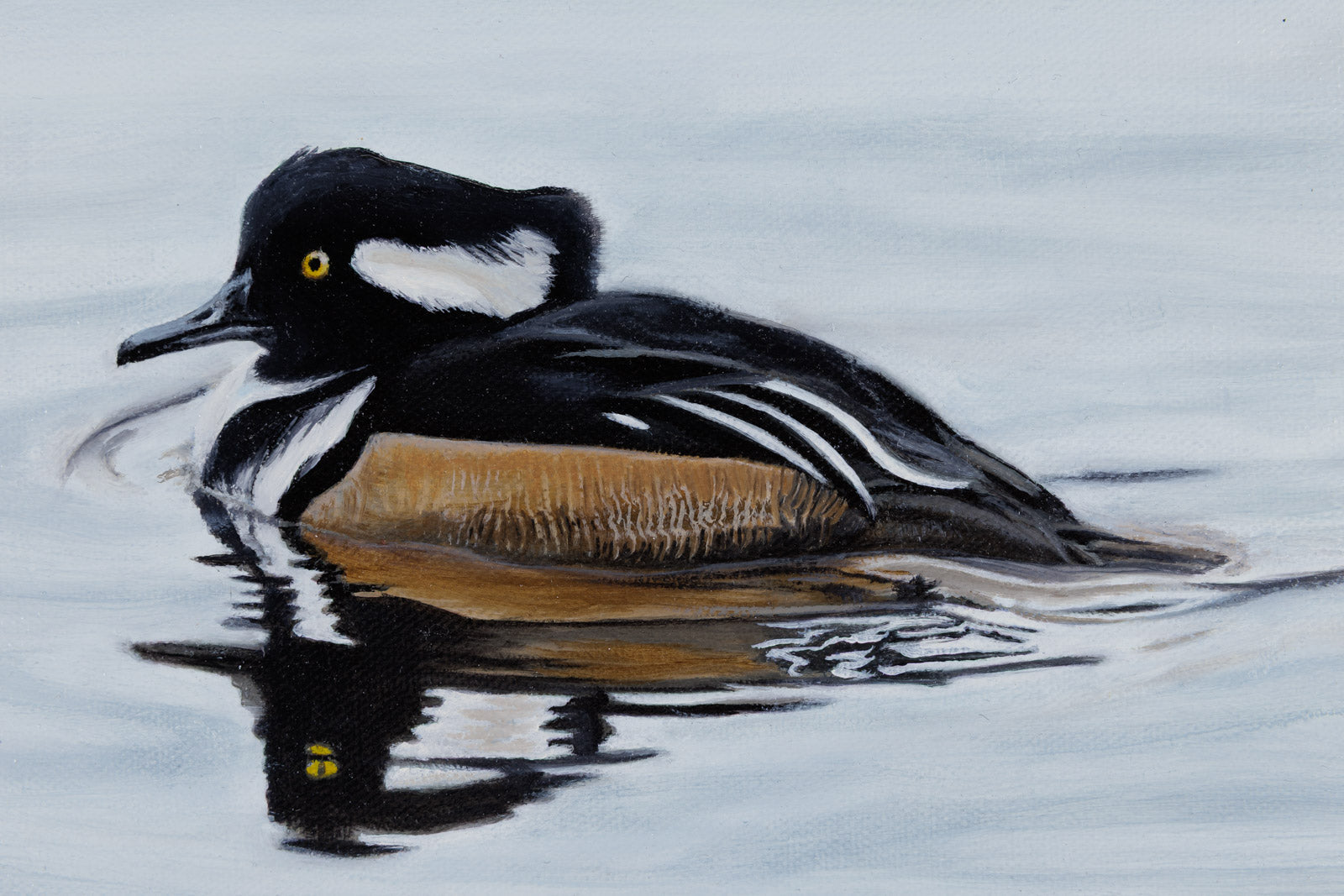 Hooded Merganser