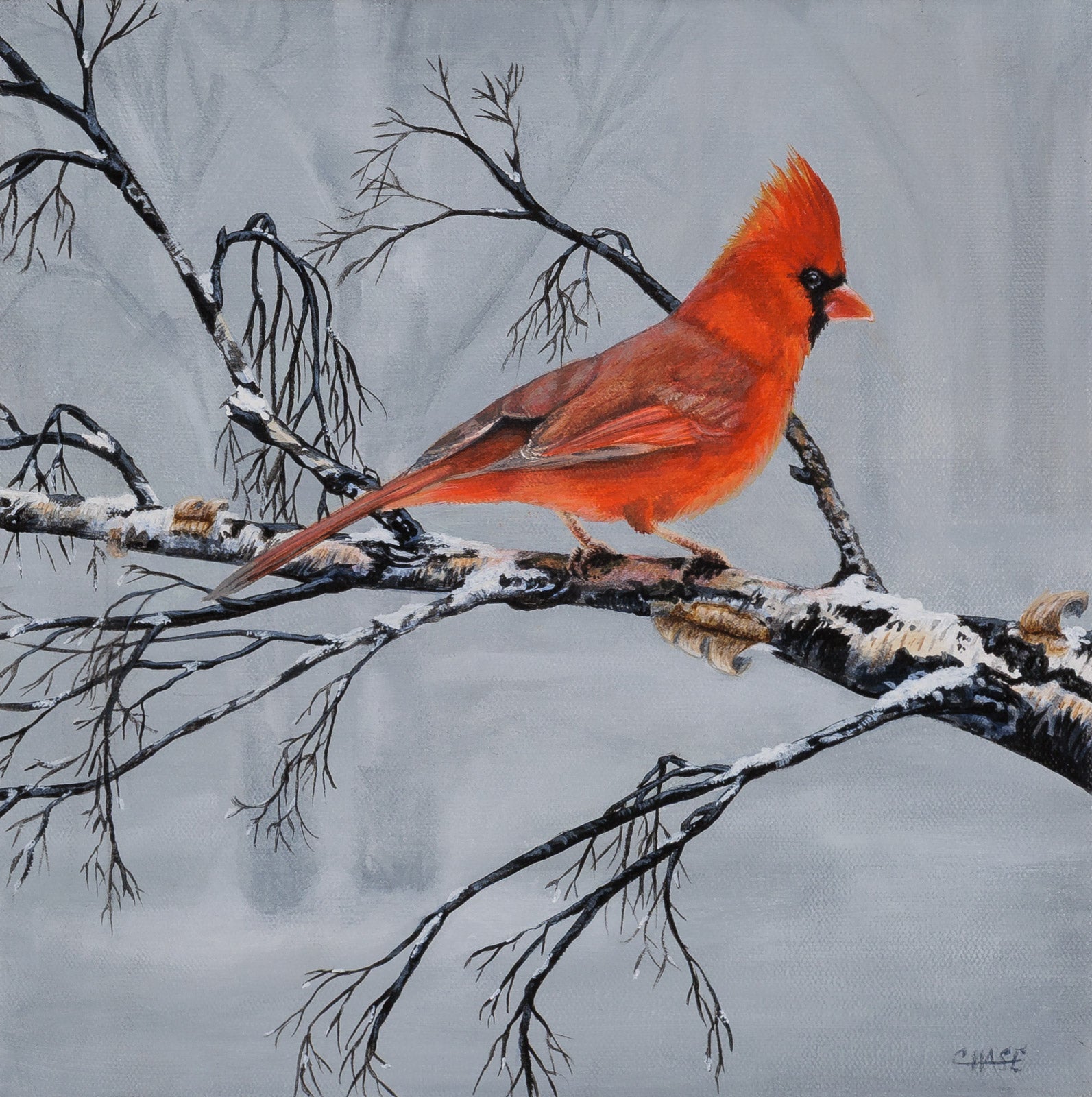 Winter's Red Whisper