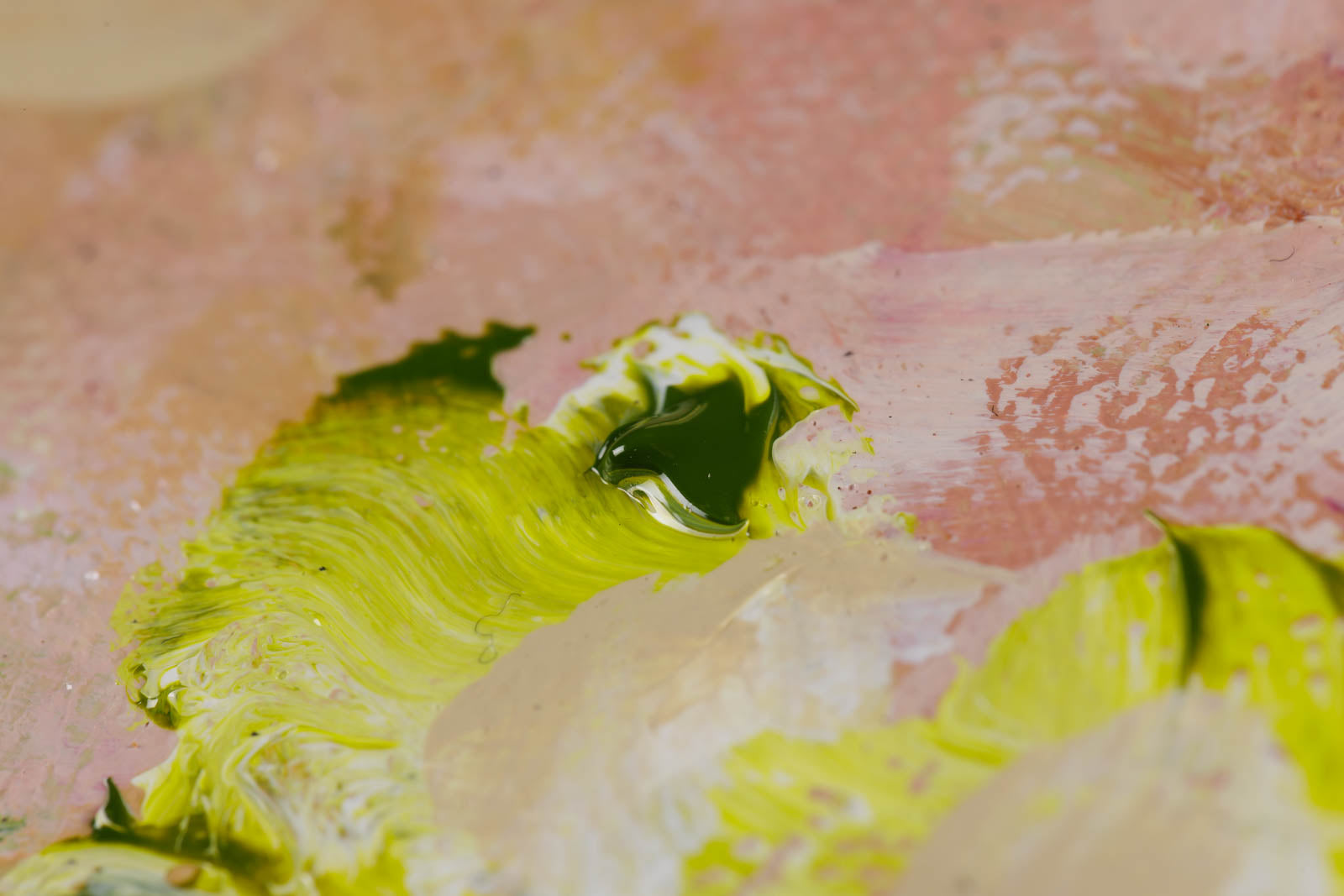 When The Crickets Sing