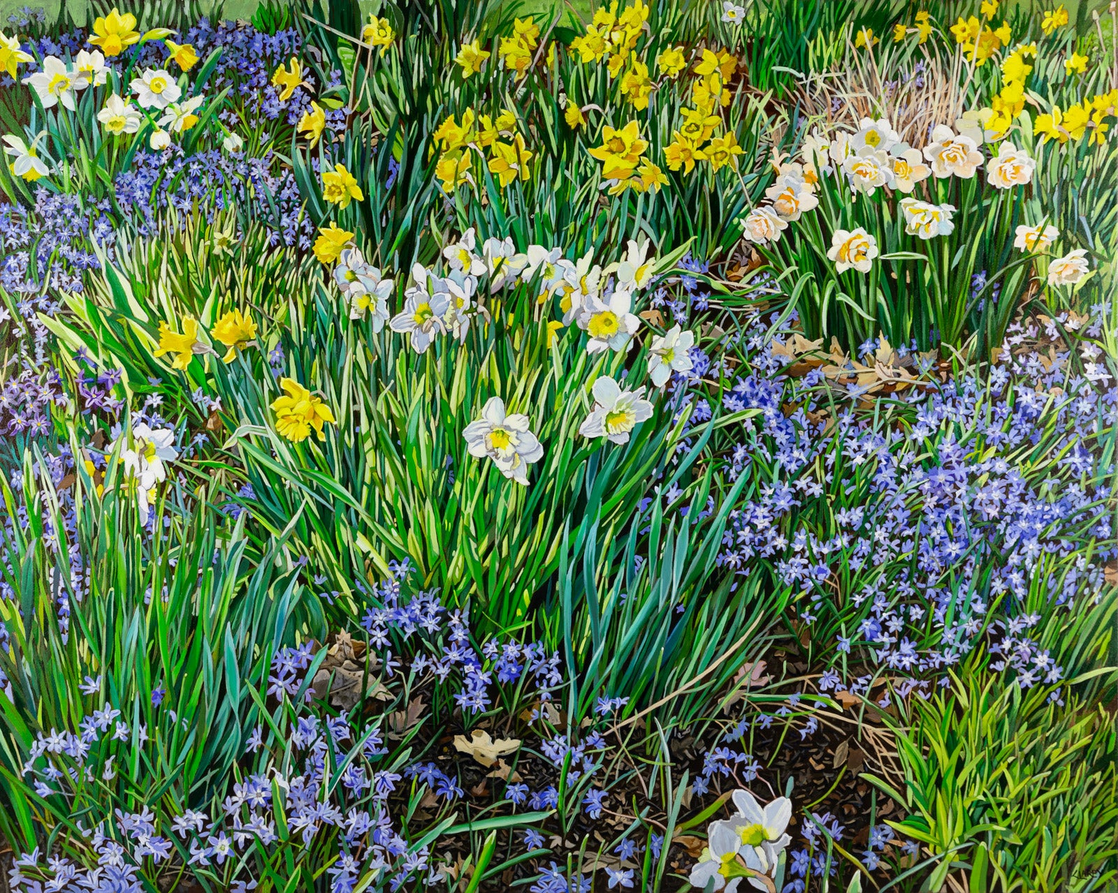 Floral “Scilla & Daffs” by Anna Clarey – acrylic on canvas.