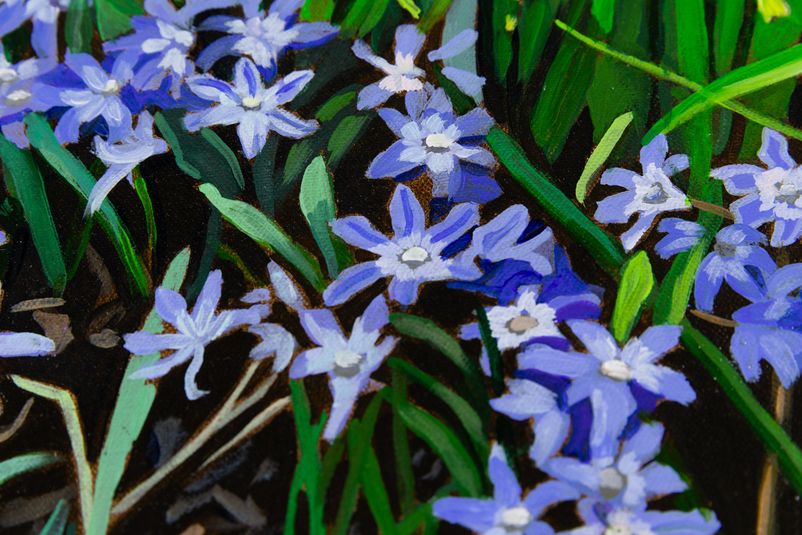 Scilla & Daffs