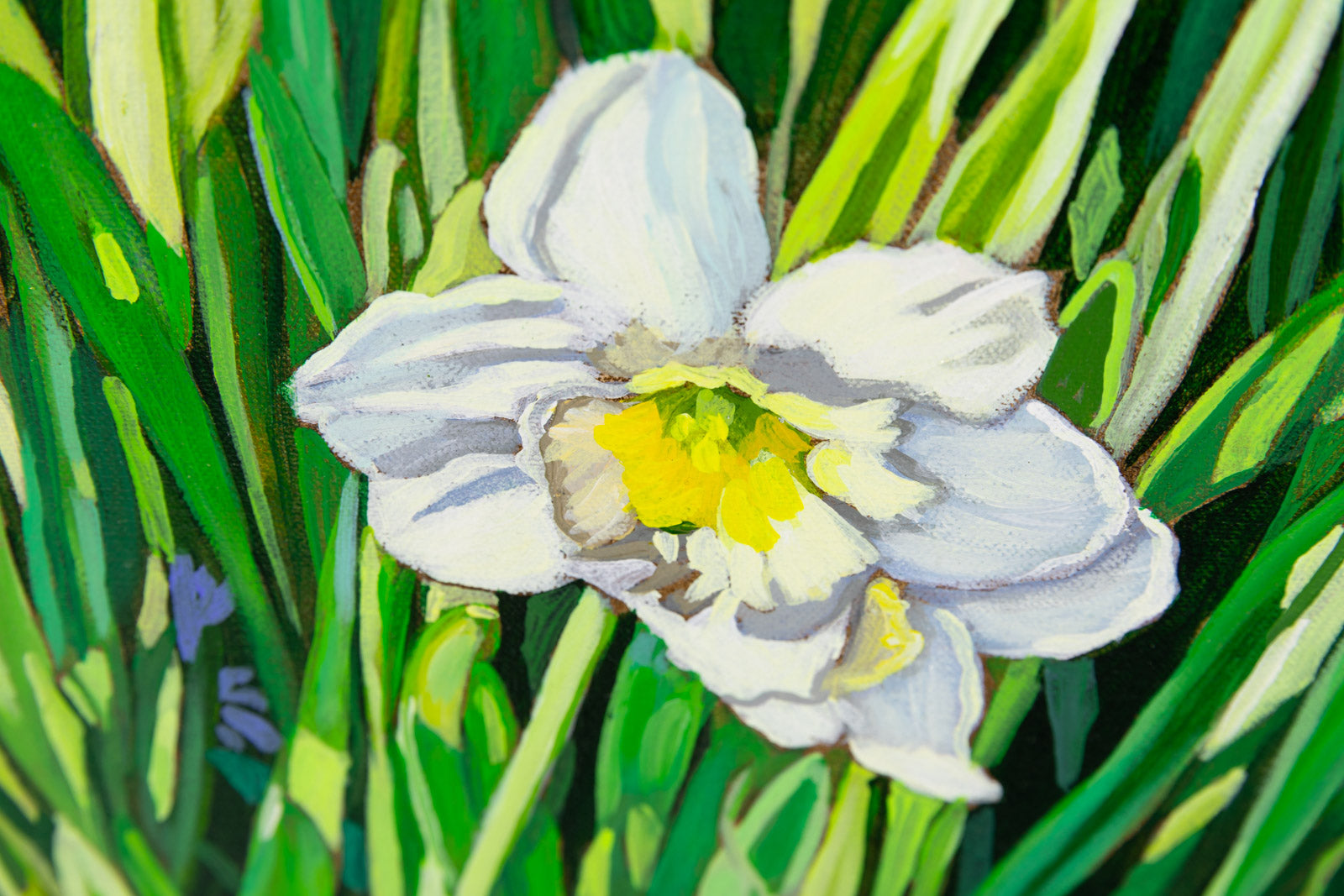 Scilla & Daffs
