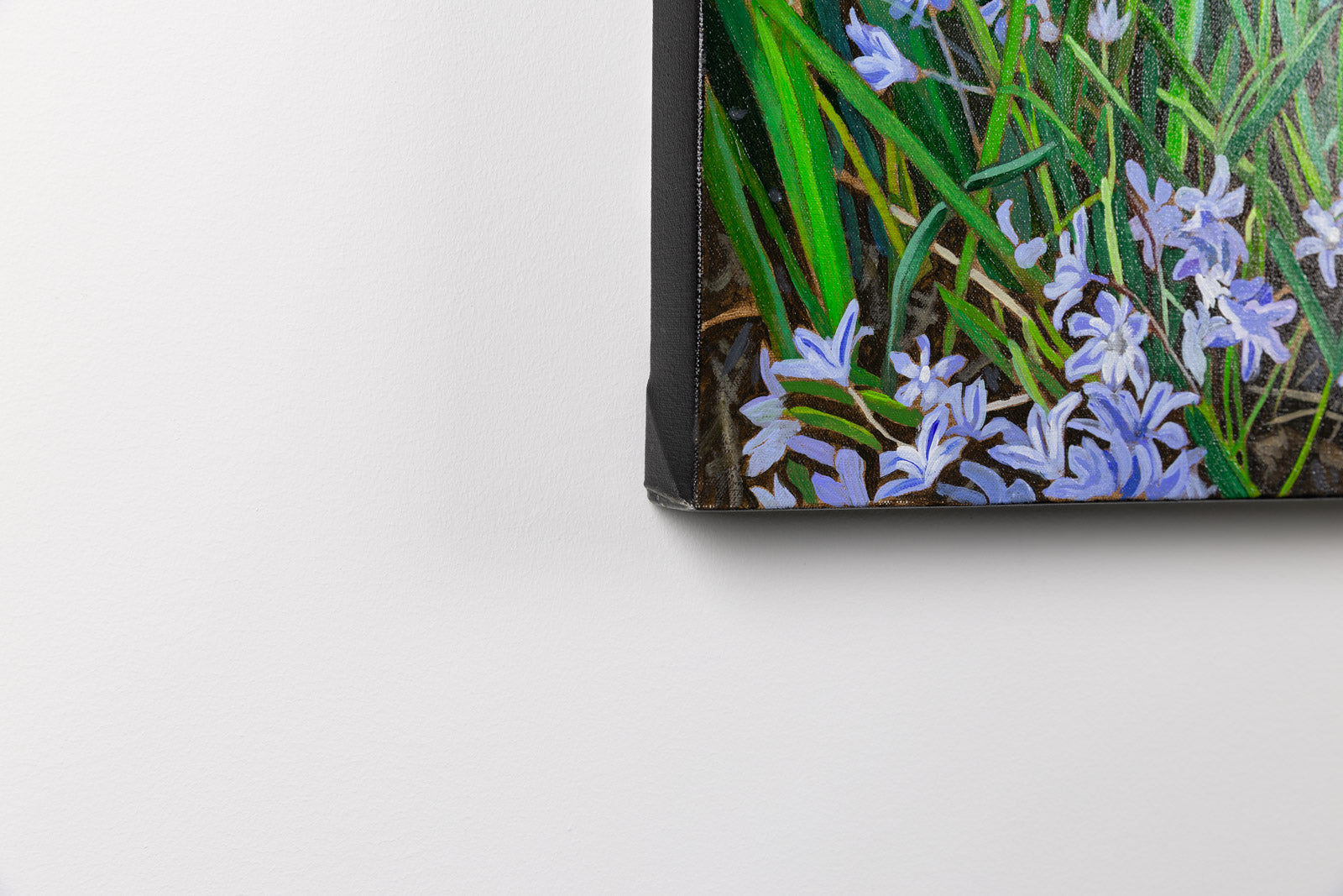 Scilla & Daffs