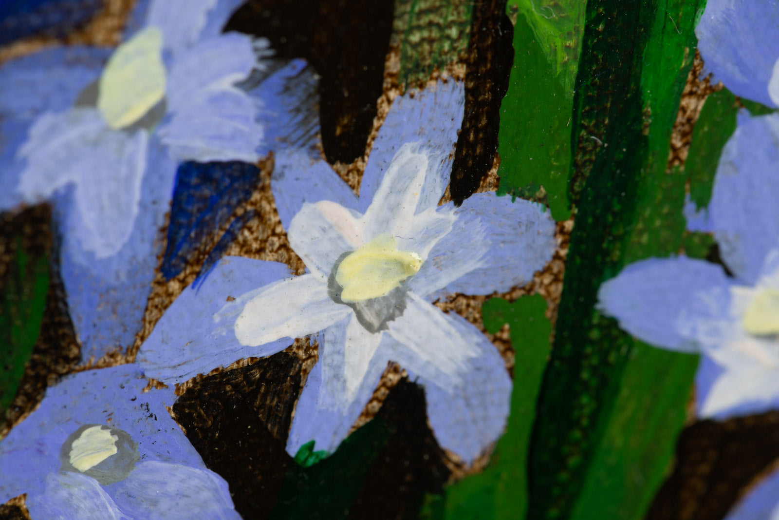 Scilla & Daffs