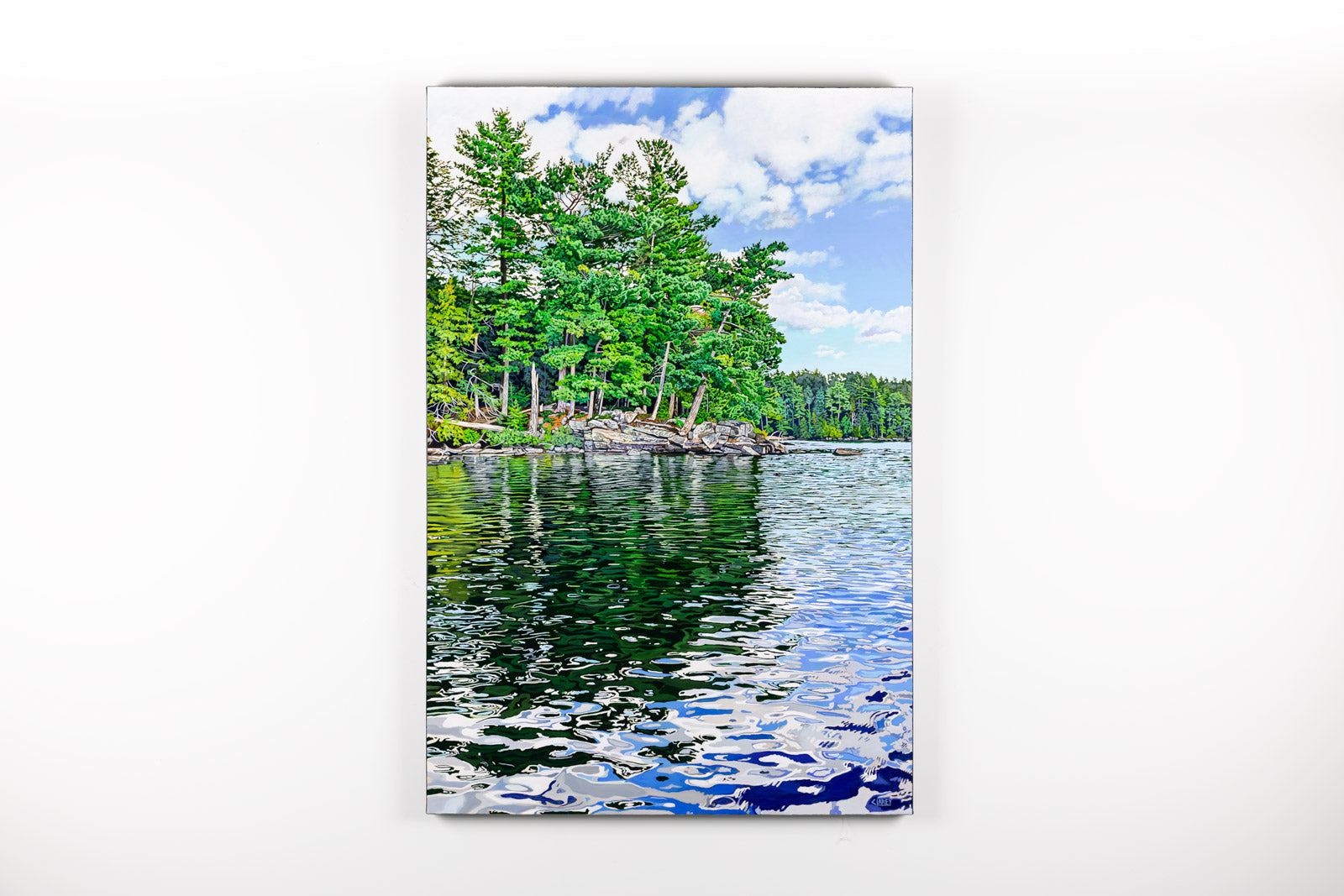 Kelly Lake Shoreline