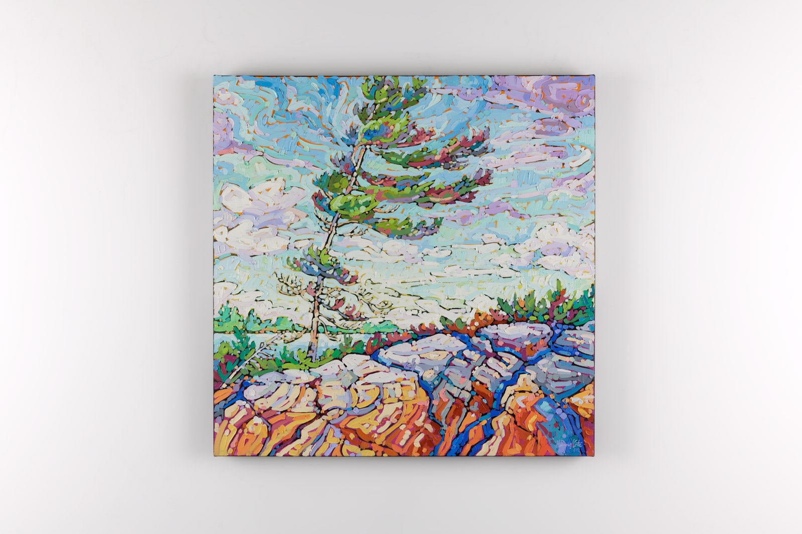 Windswept Pine