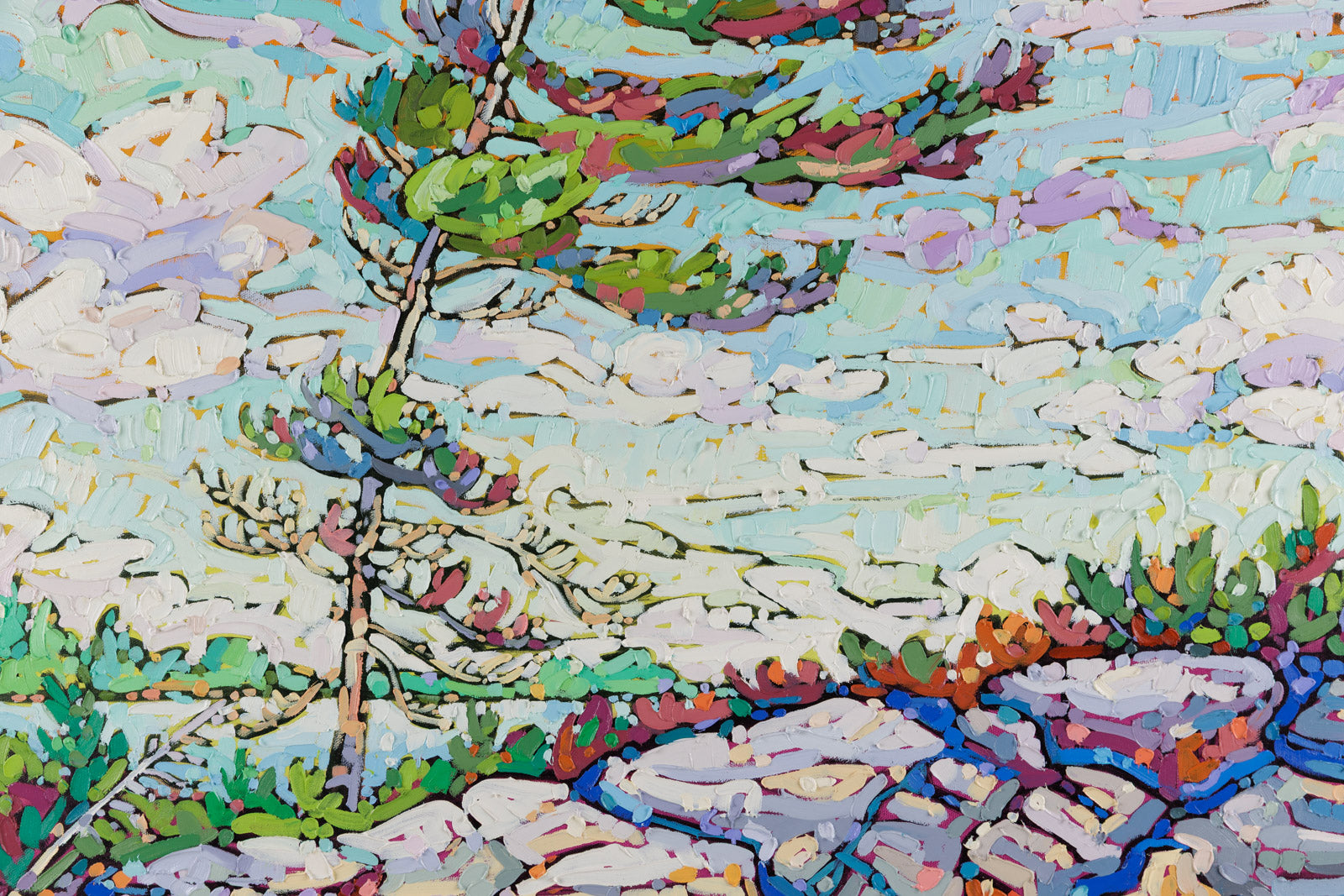 Windswept Pine